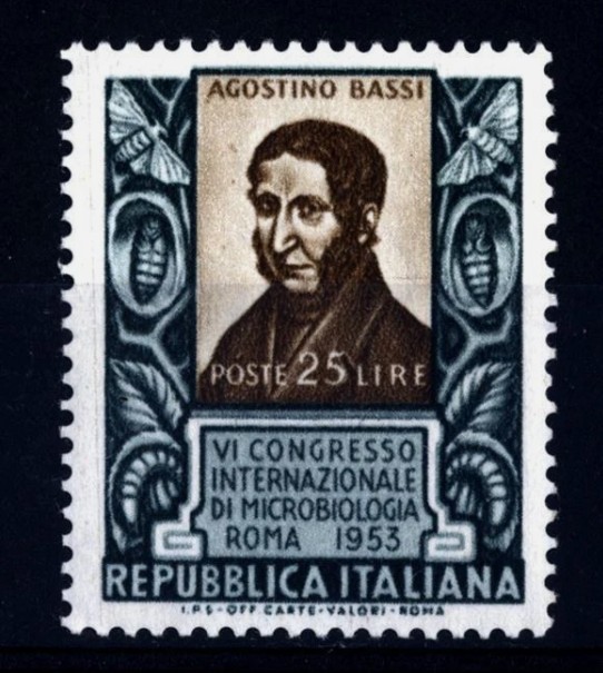 6º Congresso internazionale di microbiologia